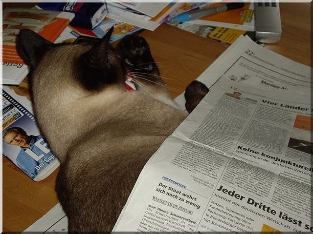 Lustige Geschichten erzählt von Balu oder auch von Pepe ;-)